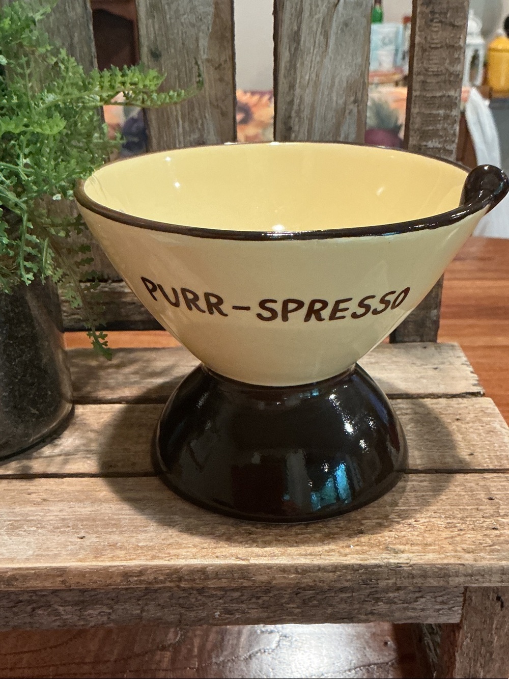 PURR-SPRESSO Martini Inspired Novelty Pet Bowl
